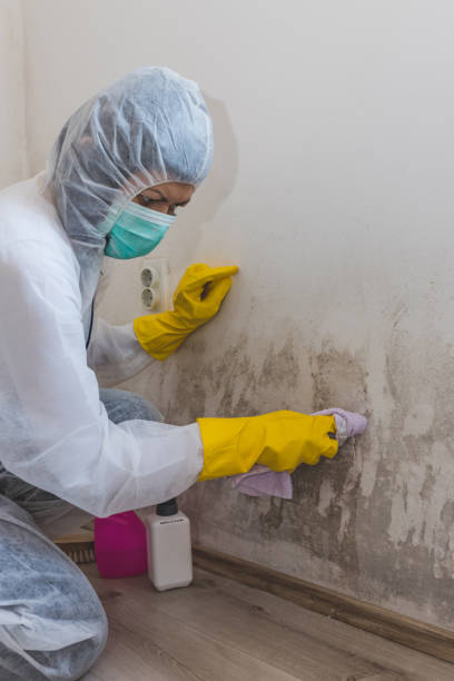 Mold Remediation for Rental Properties in Genesee, ID