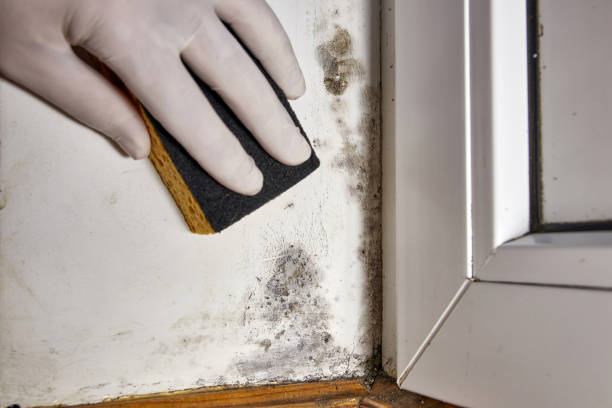 Best Indoor Air Quality Assessment  in Genesee, ID