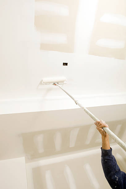 Best Mold Damage Restoration  in Genesee, ID