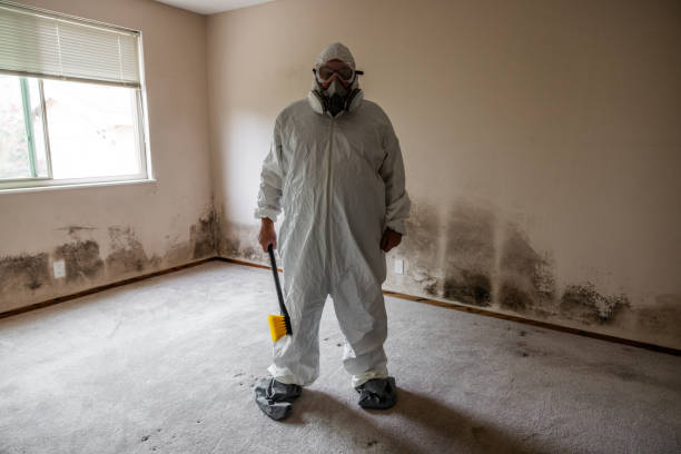Best HVAC Mold Inspection and Cleaning  in Genesee, ID