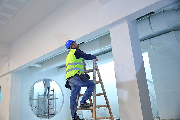 Best Basement Mold Removal  in Genesee, ID